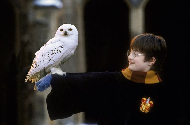 Series of Harry Potter concerts announced