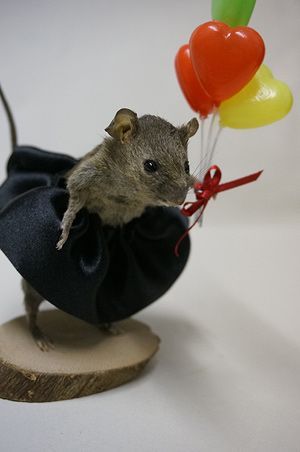 Anthropomorphic Mouse Taxidermy Workshop | Data Thistle