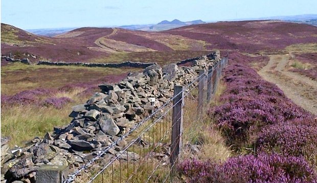 Scottish Borders Walking Festival — event artwork at Various venues: Jedburgh