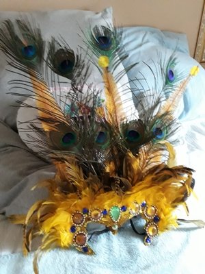 Carnival Class: Carnival Headdress Creations with Lucia | Data Thistle