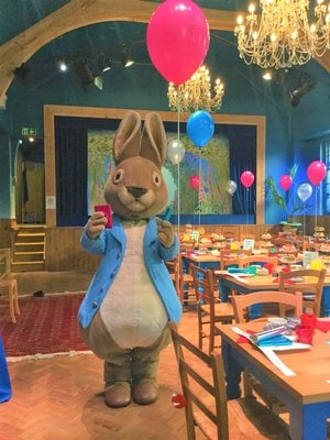 Peter Rabbit Tea Party | Data Thistle