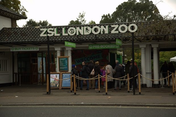 ZSL London Zoo (Regent's Park Outer Circle, London NW1)