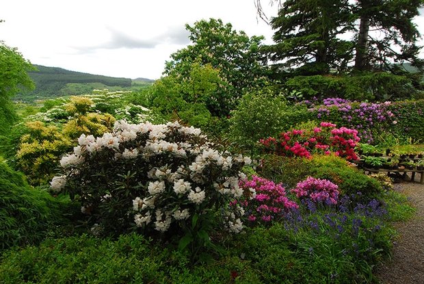 Brackenfell+Park+is+now+a+thriving+food+garden