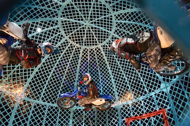 Cirque Berserk!