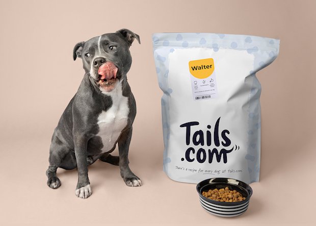 Best healthy dog food delivery service and trial packs