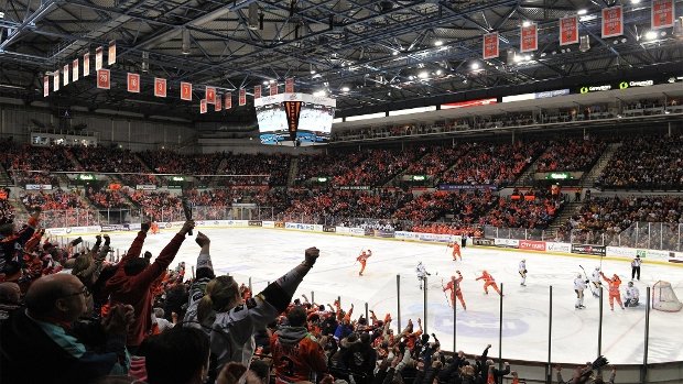 Sheffield Steelers