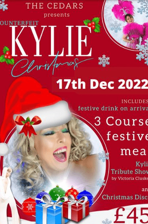 Is There A Victoria Christmas Show In 2022 Kylie Christmas Show At Cedars Inn, Barnstaple