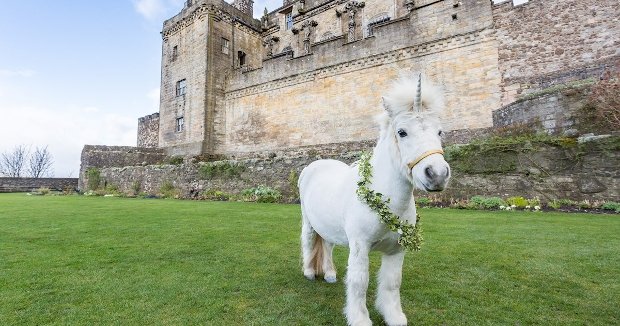 Unicorn at Stirling Castle