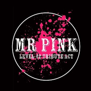Mr Pink. Level 42 Tribute.