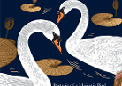 Dan Keel - Swan: Portrait of a Majestic Bird