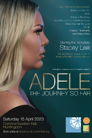 Adele The Journey So Far Data Thistle