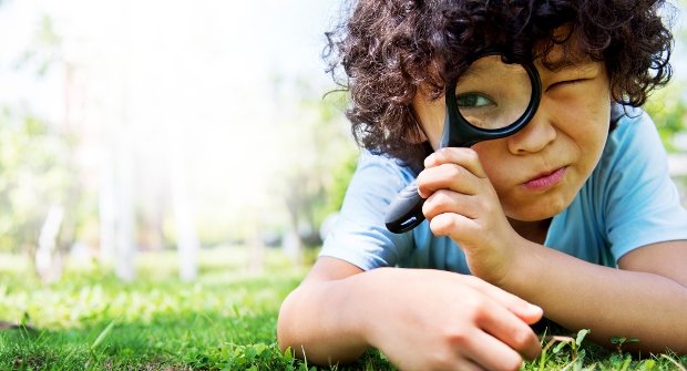 Duck Detectives | Data Thistle