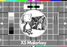 Xs Malarkey Online