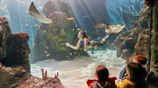 Loch Lomond Aquarium &amp; Sea Life Centre (Loch Lomond Shores, Balloch)