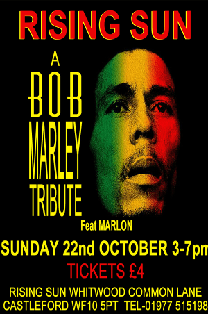 Bob Marley Tribute | Data Thistle