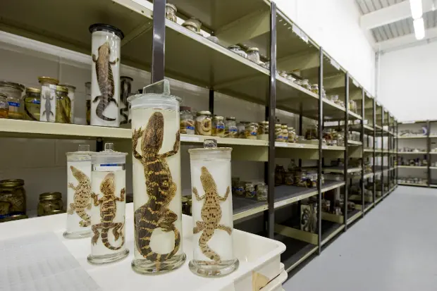 Spring Holiday Programme Family Behind the Scenes Tours