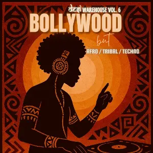 Desi Warehouse Vol 6