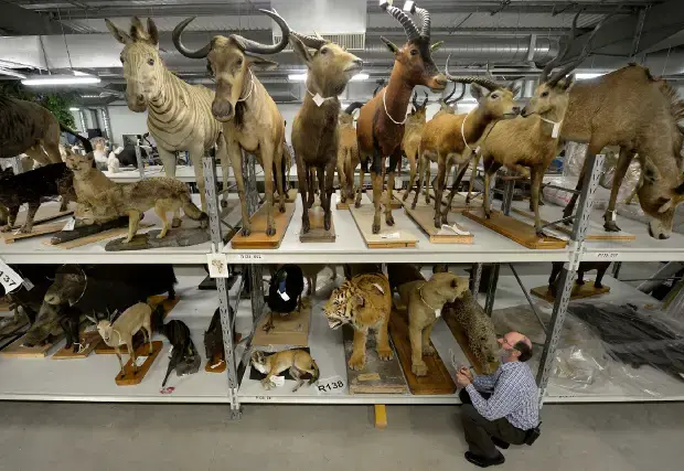 Behind the Scenes Tour