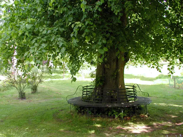 Charity Garden Opening - Floors Castle — event artwork at Floors Castle