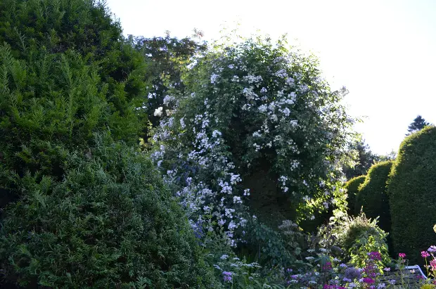Charity Garden Opening - Glassmount House — event artwork at Glassmount House