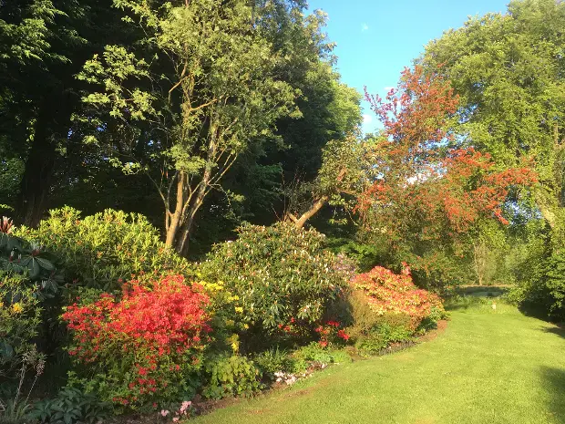 Charity Garden Opening - Kildalloig — event artwork at Kildalloig