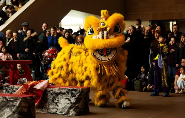 Lunar New Year Celebration