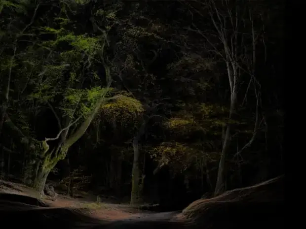 Framerate: Pulse of the Earth