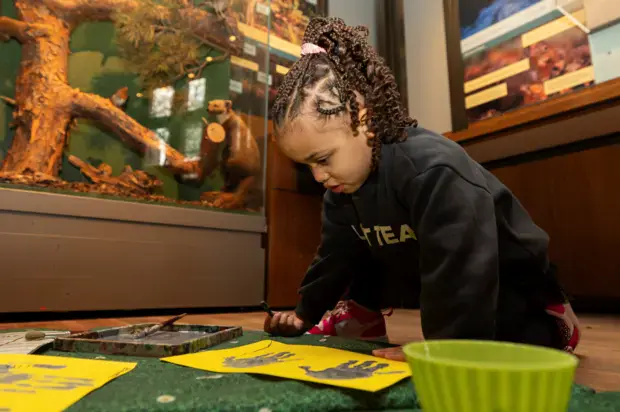 Mini Museum Explorers