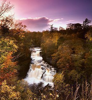 Falls Of Clyde Nature Reserve