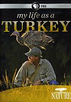 My Life As A Turkey