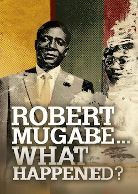 Robert Mugabe … What Happened?