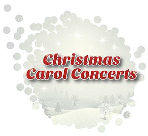 Waltham forest christmas refuse collection